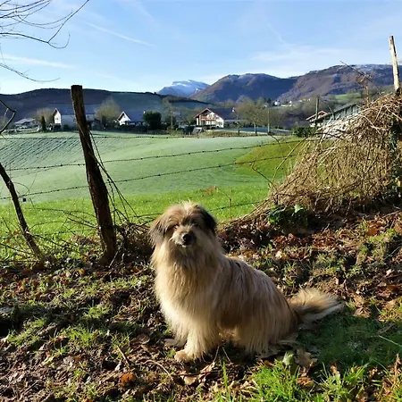 Papogorria 3* Au Baskoparadis